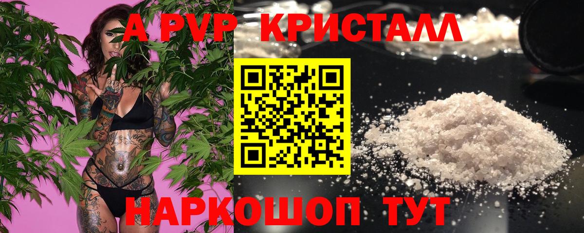 APVP СК КРИС Кировск